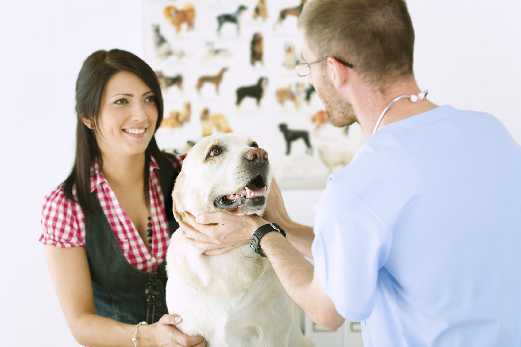 La Ricetta Veterinaria Elettronica diventa obbligatoria: lunedì la presentazione del nuovo sistema alla presenza del ministro della Salute, Giulia Grillo