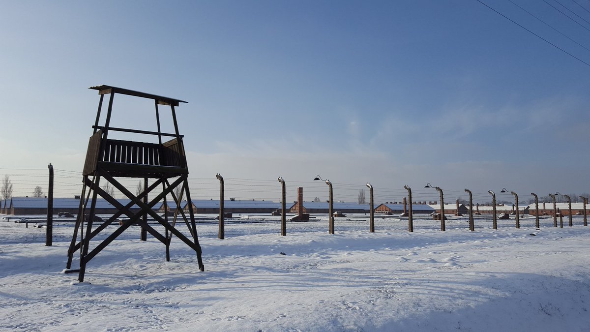 La Lega Polacca contro le Diffamazioni: "È sbagliato parlare di Auschwitz come campo di sterminio polacco, è un campo di sterminio nazista"