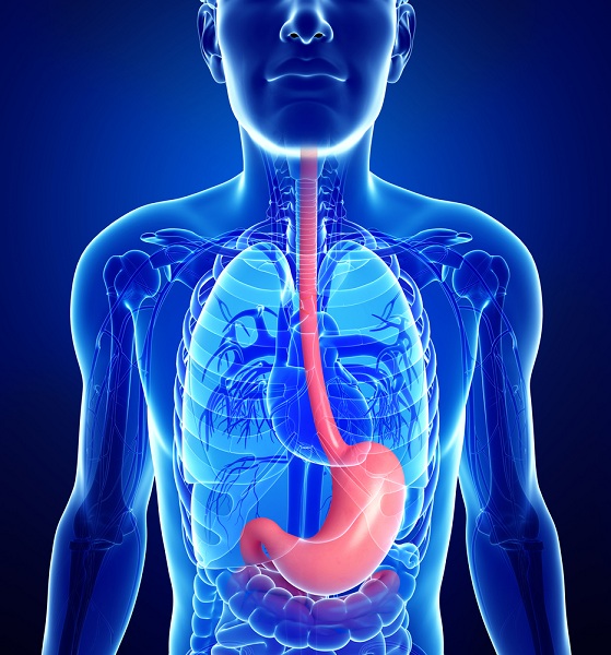 Carcinoma a cellule squamose dell'esofago: approvazione europea per nivolumab in seconda linea per forme non resecabili avanzate, ricorrenti o metastatiche