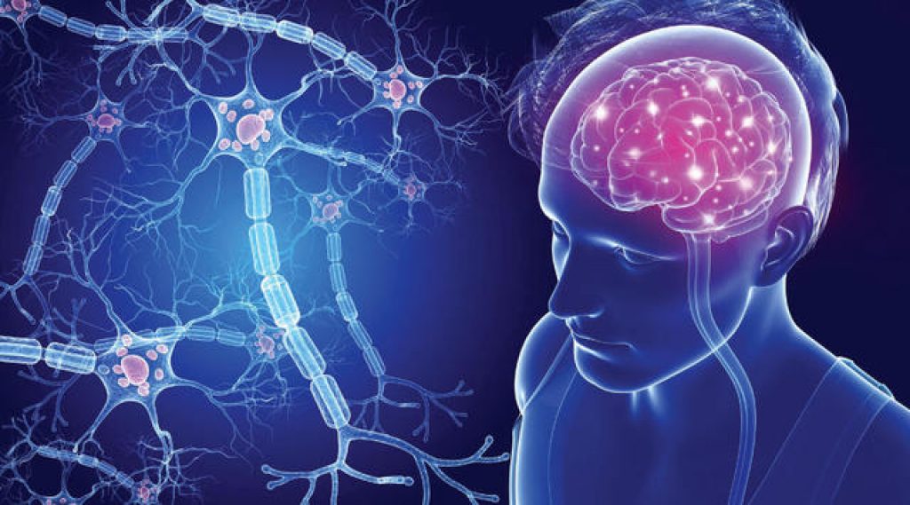 I pazienti con sclerosi multipla trattati con ofatumumab non mostrano forme severe di Covid-19 secondo i risultati di un nuovo studio