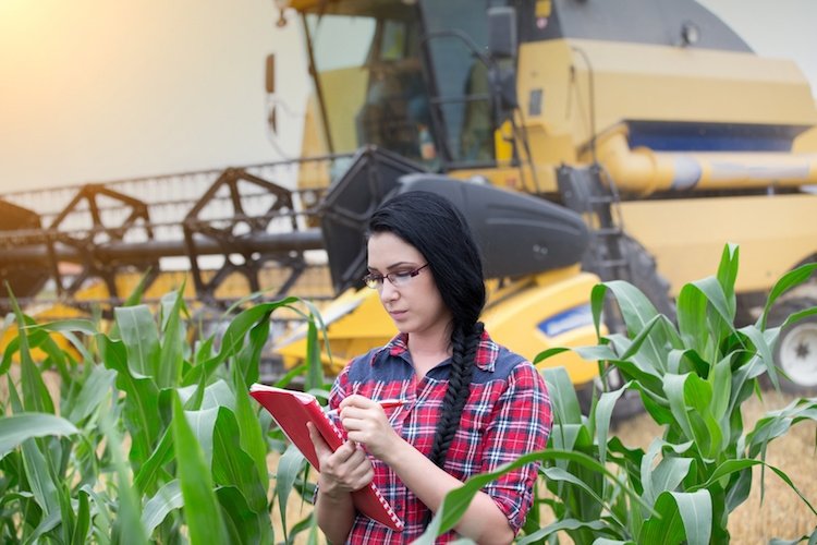 Lavorare in agricoltura: nasce il portale Jobincountry, in 1500 si sono già proposti alle aziende nella fase di sperimentazione in Veneto