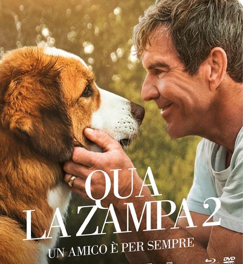 Qua la zampa 2 in home video dal 26 agosto