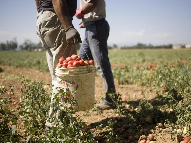 Più infortuni e morti dove c’è più lavoro nero: secondo la CGIA in Italia “produce” ben 77,8 miliardi di euro di valore aggiunto