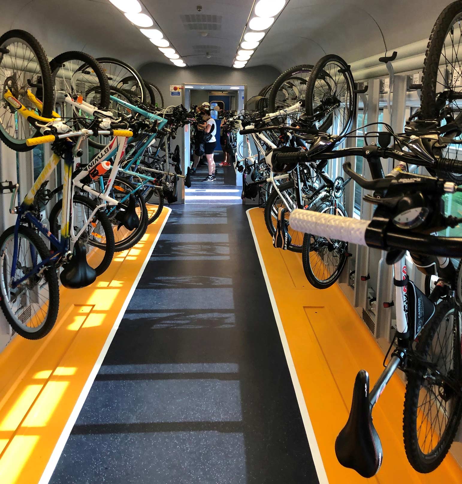 biciclette treni regionali