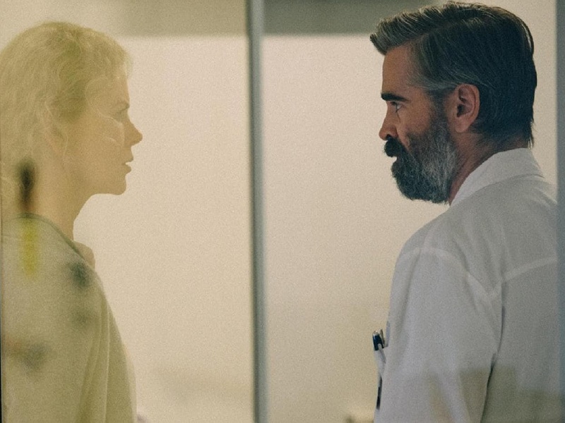 On Rai 5 the film “Sacrifice of the Sacred Deer”: here is the plot