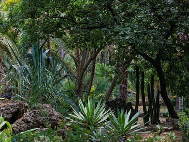 Appuntamento in giardino