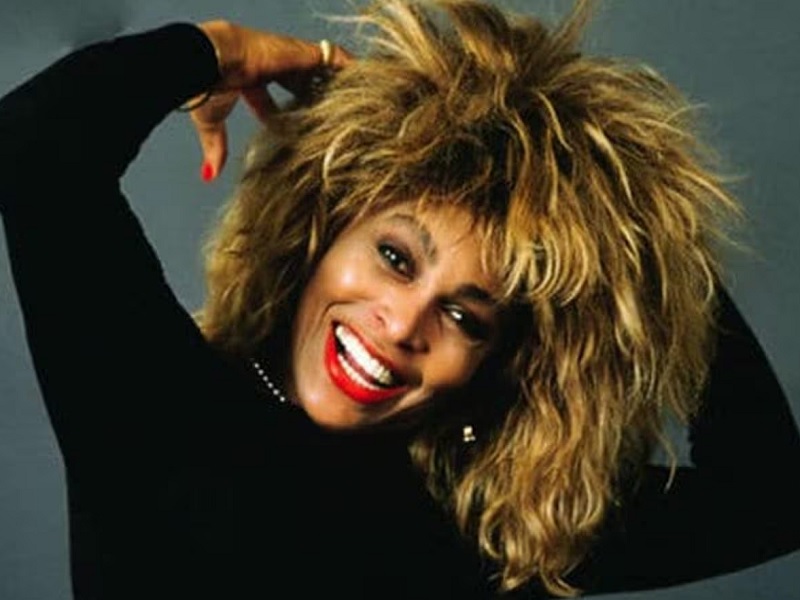 rock legends tina turner blob