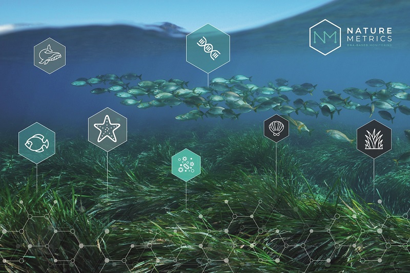 NatureMetrics eDNA seagrass