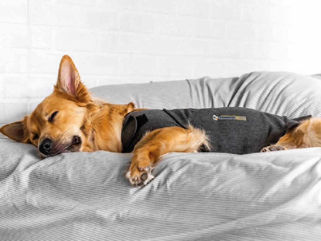 ThunderShirt