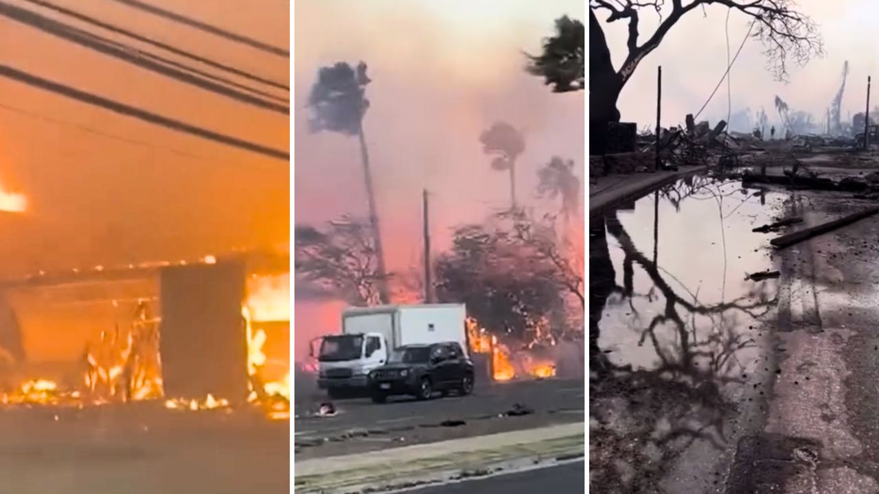 incendi maui