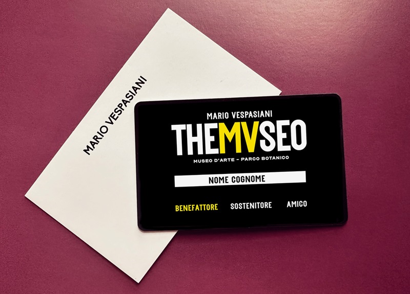 THEMVSEO