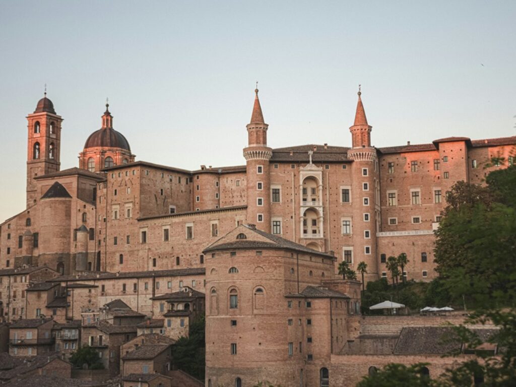 holidu urbino