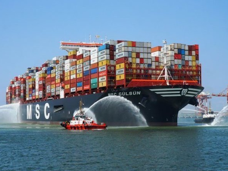 msc mediterranean shipping company