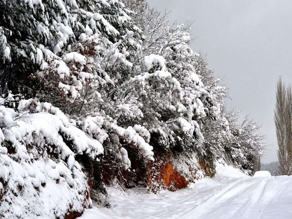 carro funebre neve