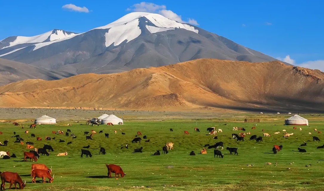 mongolia