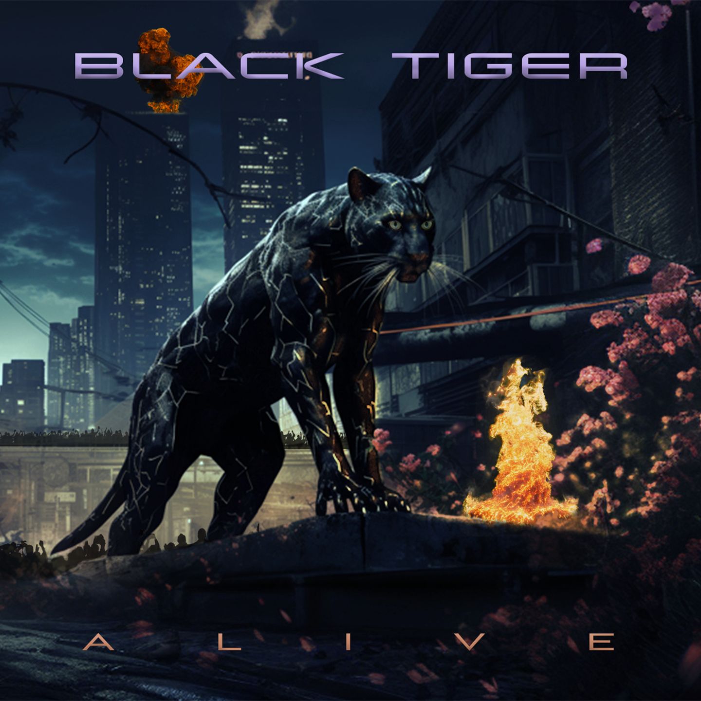 black tiger cover