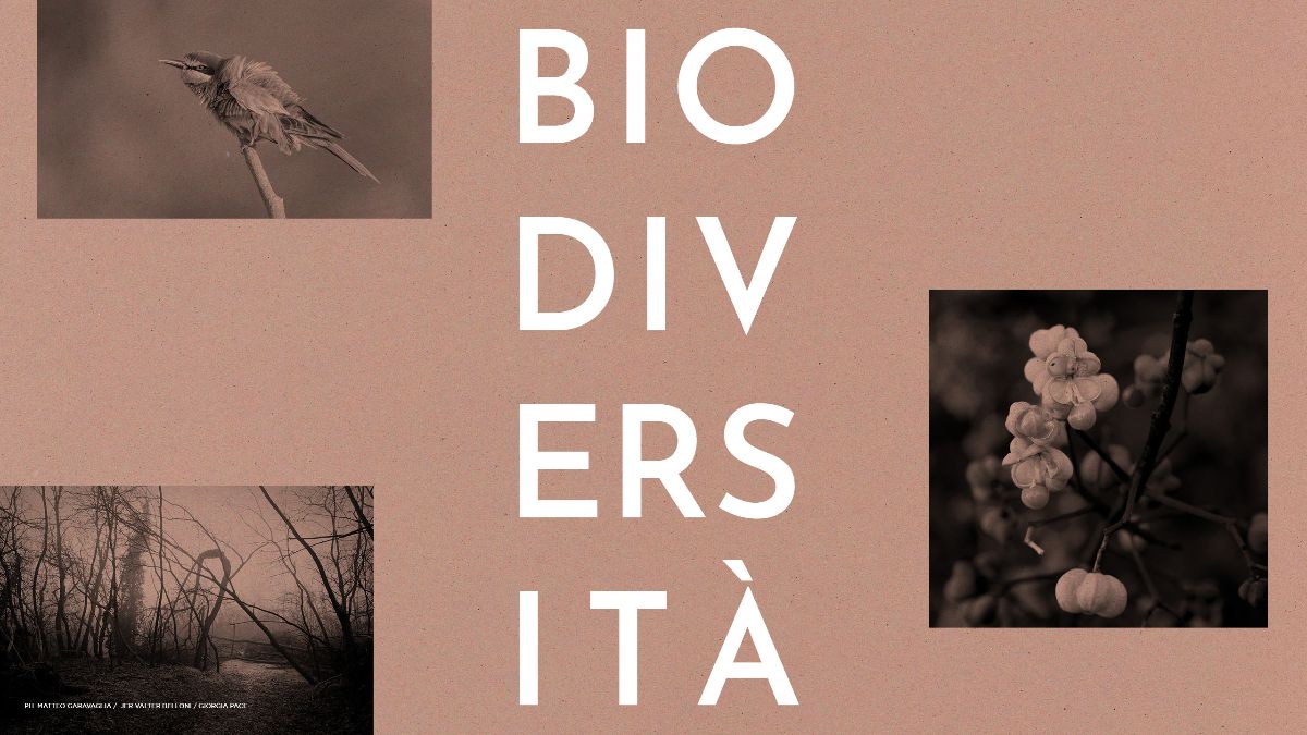 Biodiversità