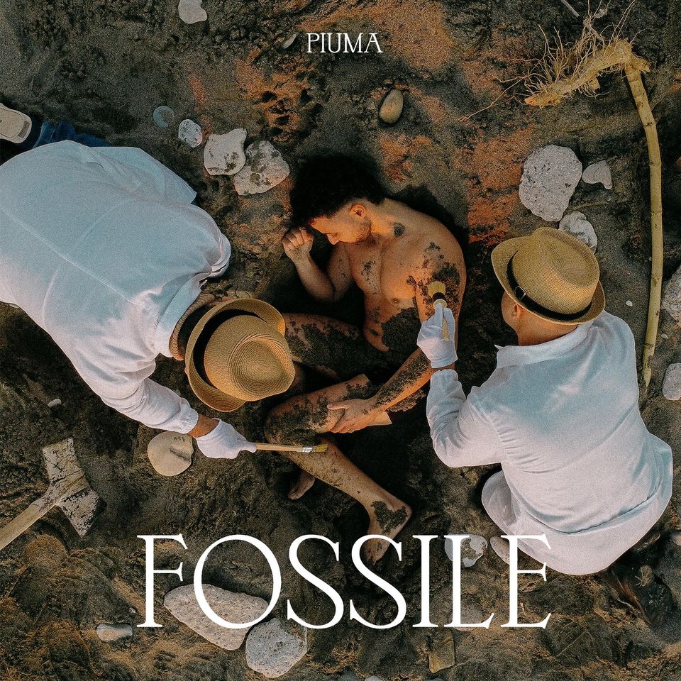 piuma fossile