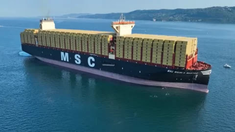 msc