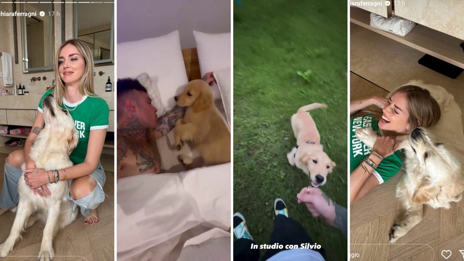 fedez chiara ferragni cani