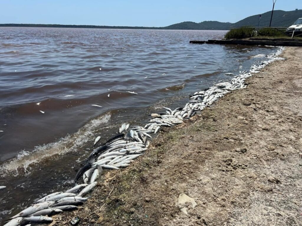 laguna di orbetello