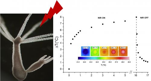 nanoprismi