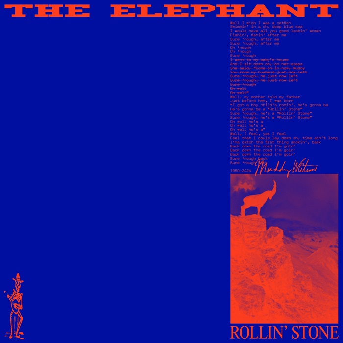 the elephant