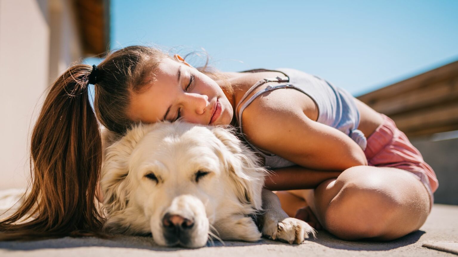 giornata mondiale del cane