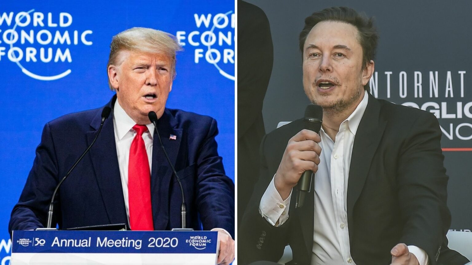 trump musk