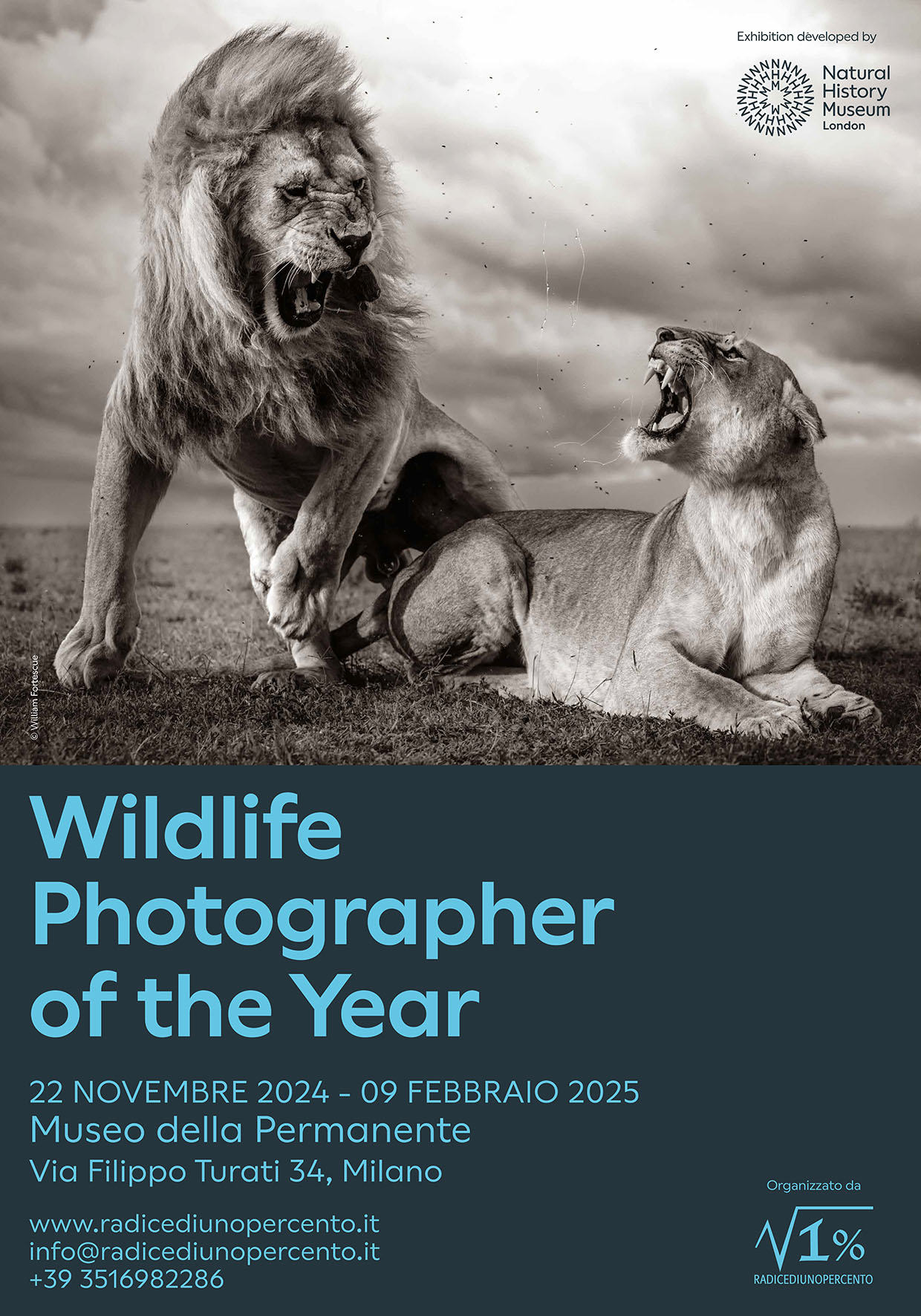 Wildlife Photographer of The Year