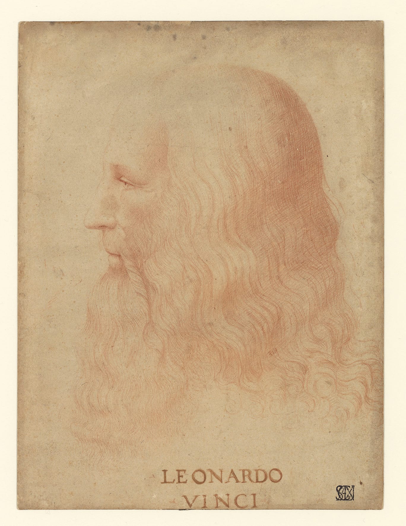 Disegni milanesi di Leonardo da Vinci e Francesco Melzi