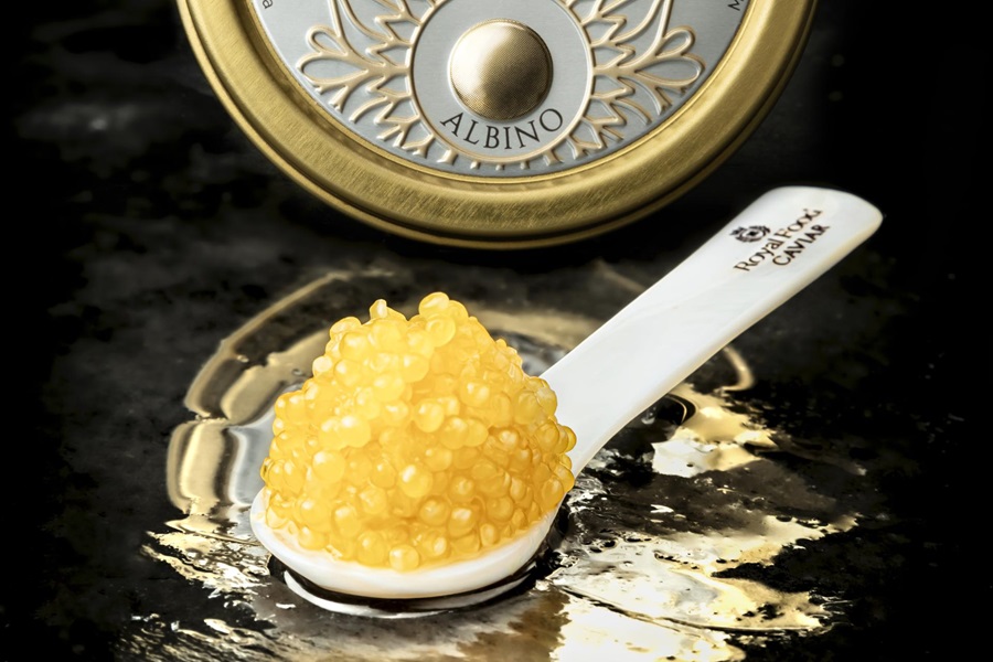 Il caviale Albino di Royal Food Caviar