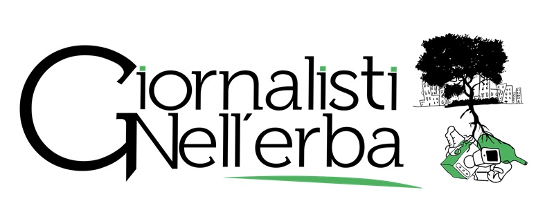 giornalisti nell'erba