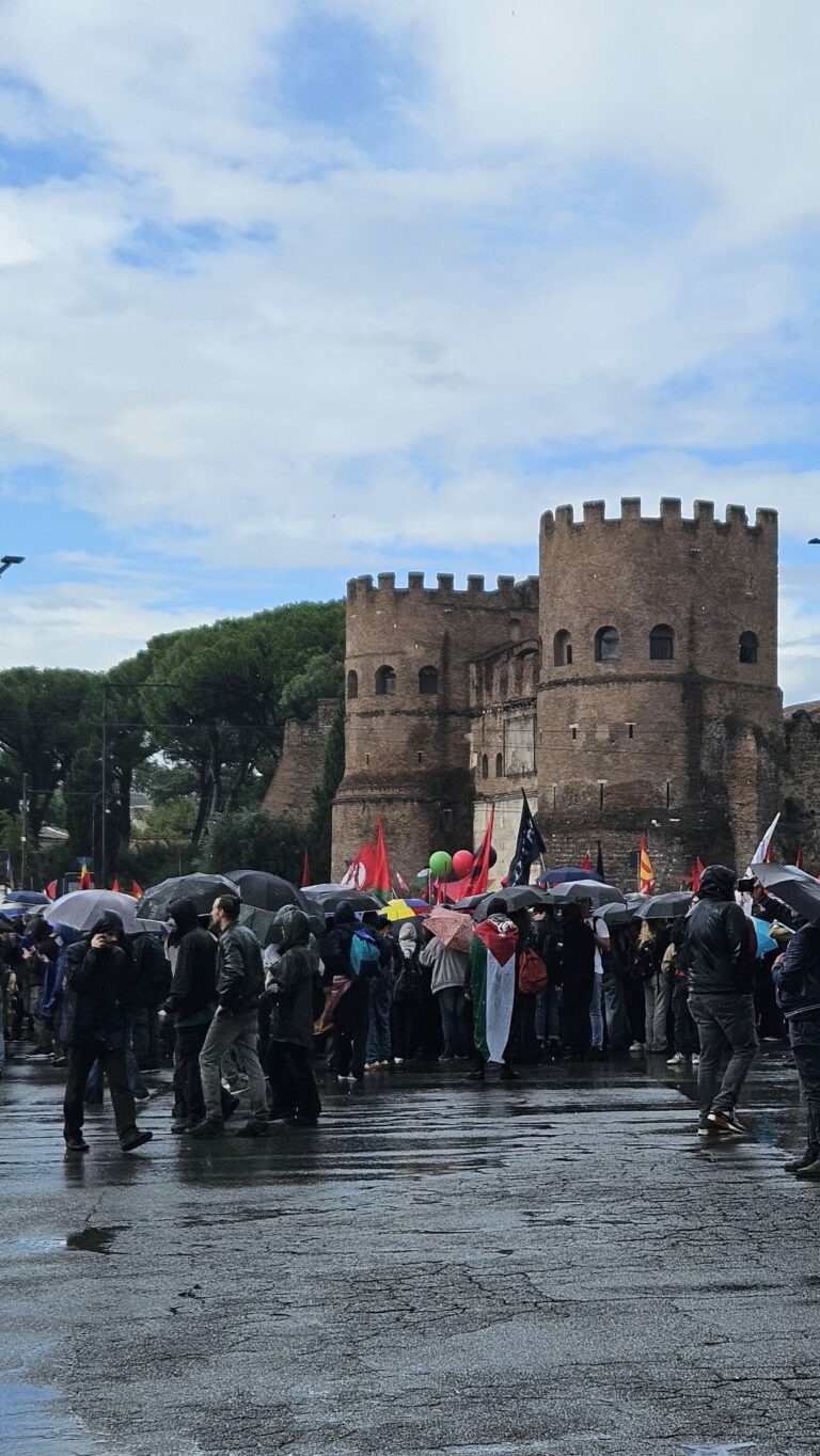 manifestazione palestina