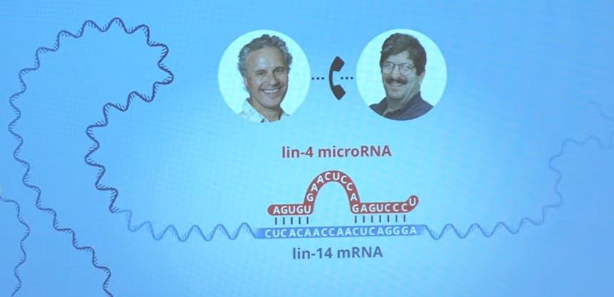 premio nobel per la medicina