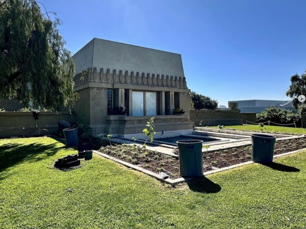 hollyhock house