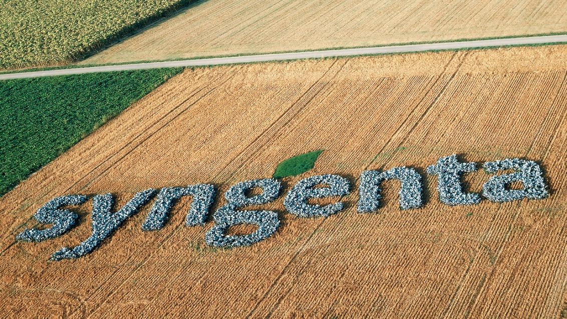 syngenta