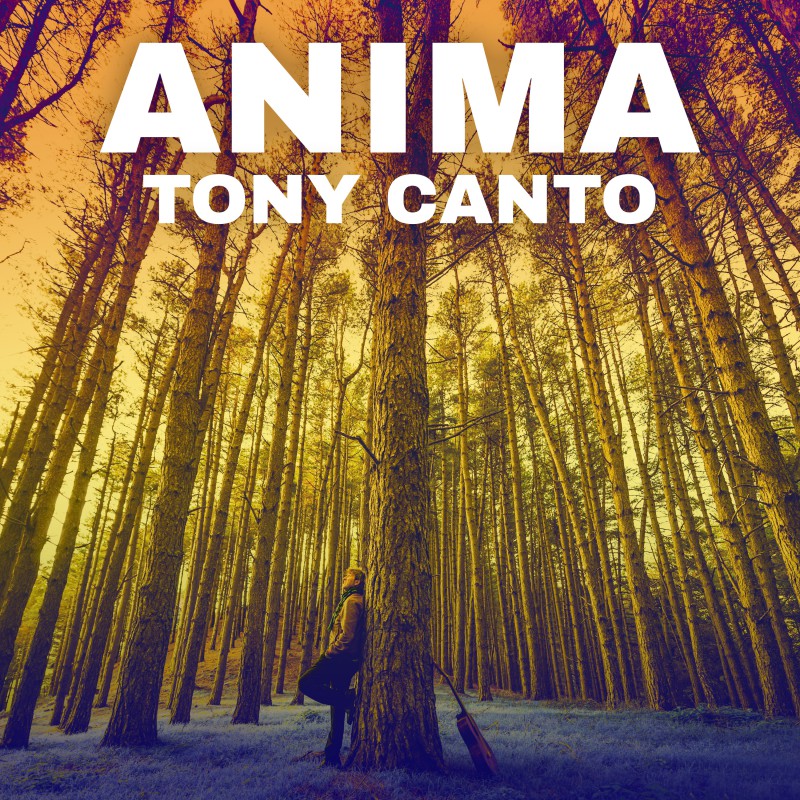 tony canto