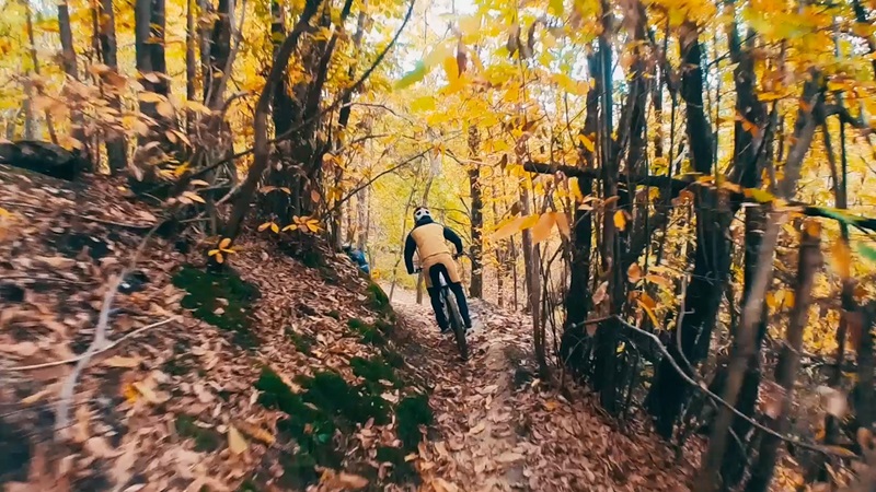 mountain bike