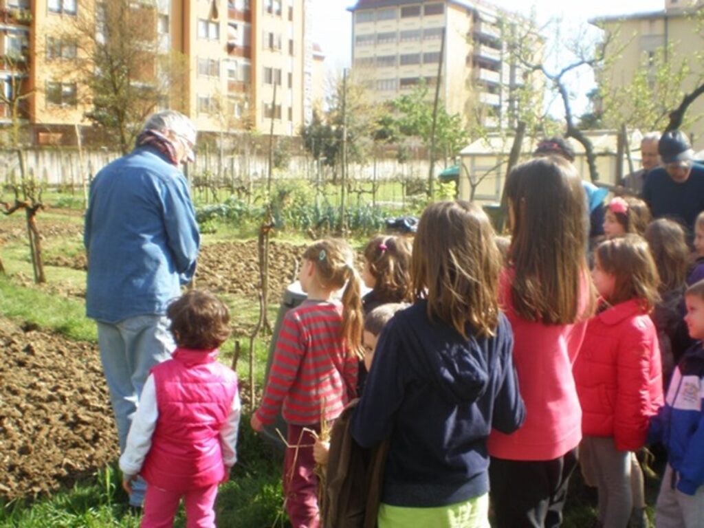 la fattoria dei ragazzi