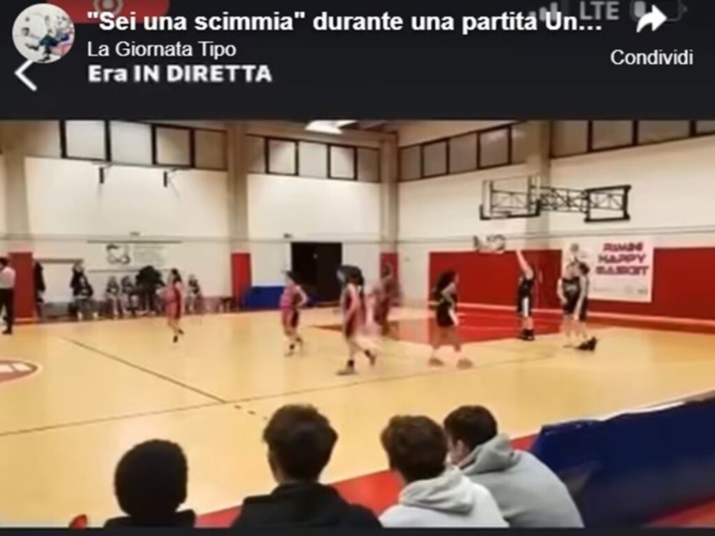 sei una scimmia video basket