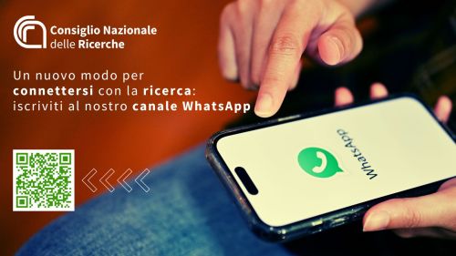 canale whatsapp